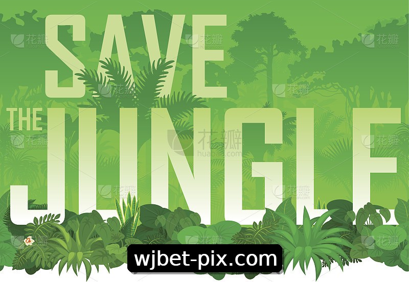 Integração de APIs wjbet